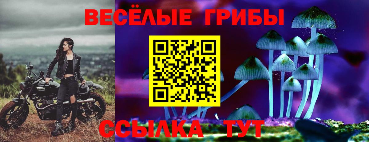 Псилоцибиновые грибы Magic Shrooms  Псилоцибиновые грибы мухоморы  Вход с VPN  Касимов 
